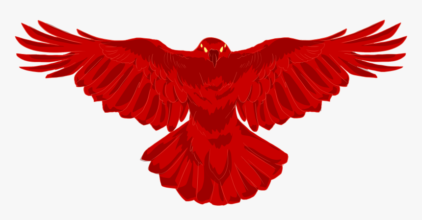 Eagle, HD Png Download, Free Download