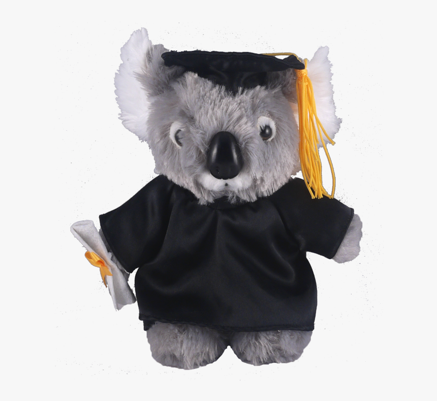 Graduation Teddy Koala Bear, HD Png Download, Free Download