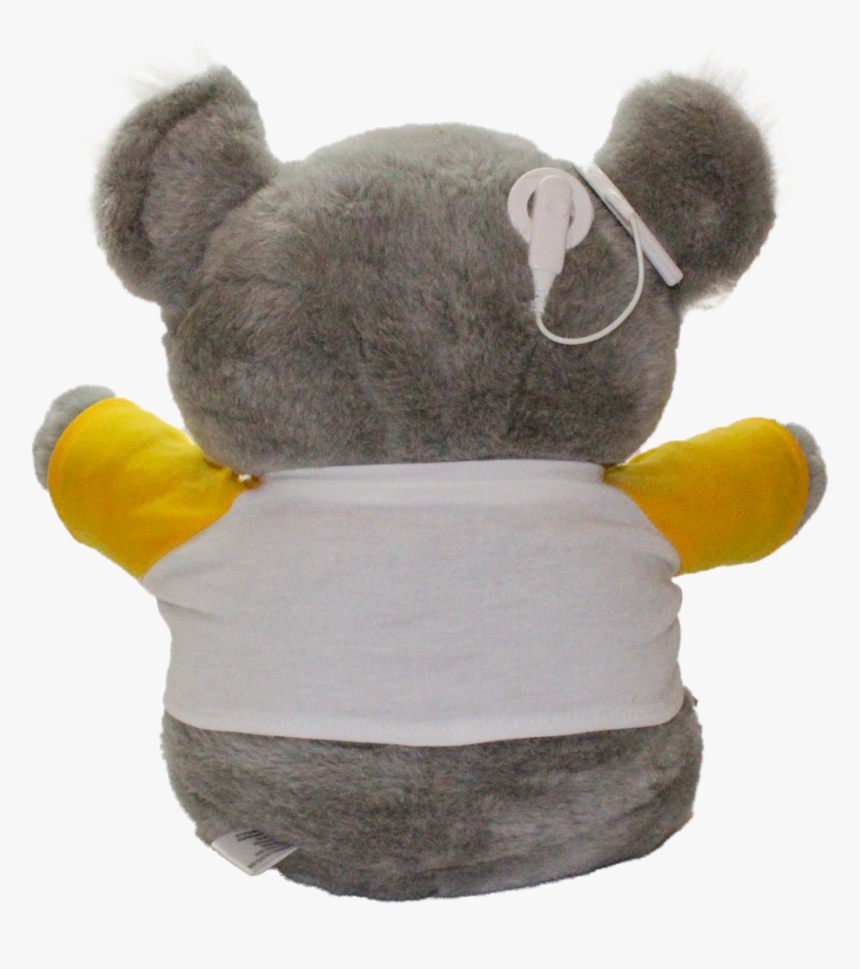 Kaci The Koala, HD Png Download, Free Download