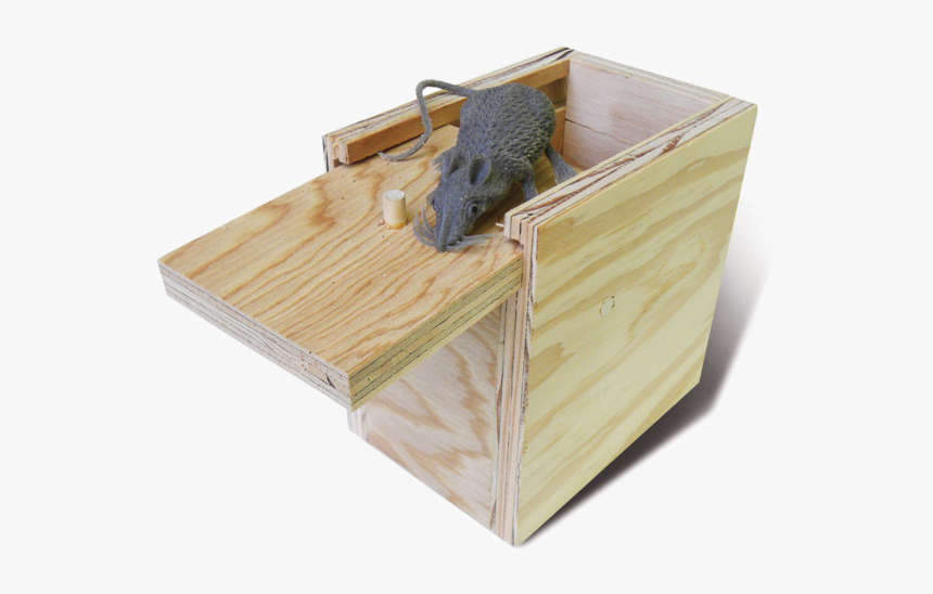 Mouse In A Box, HD Png Download - kindpng