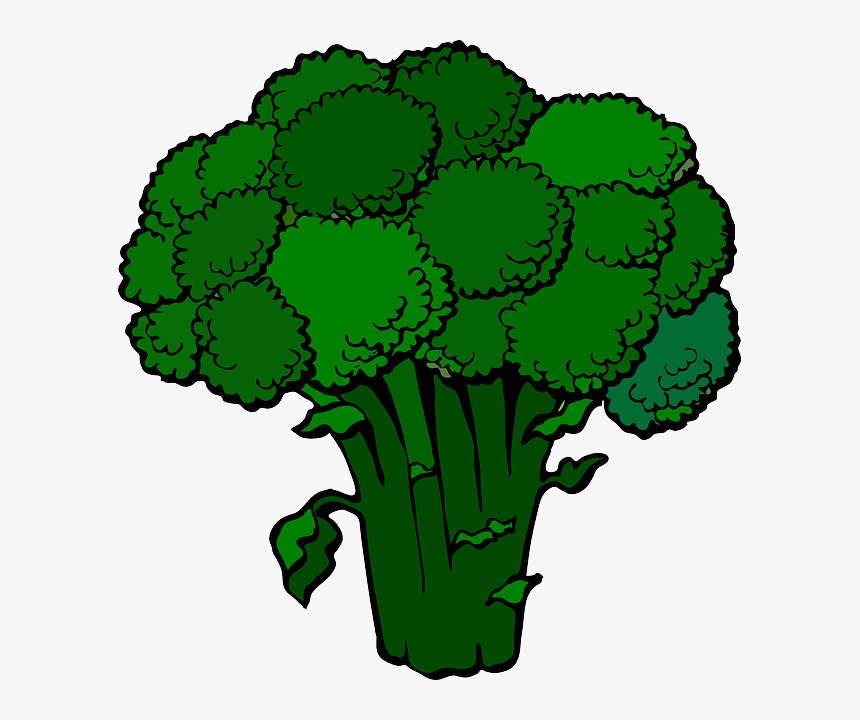 Broccoli Clipart, HD Png Download, Free Download