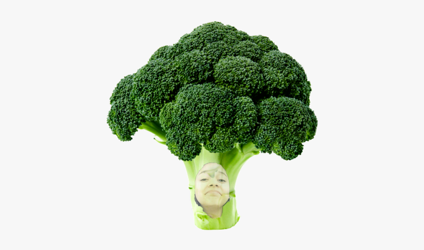 Broccoli, HD Png Download, Free Download