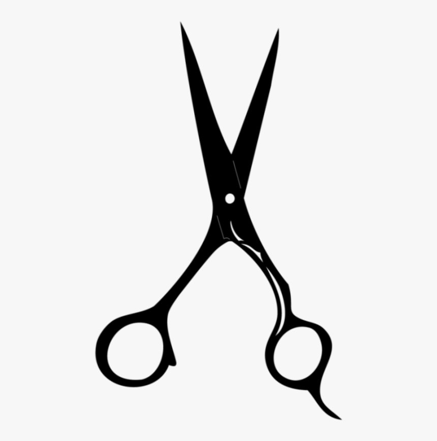 Japanese Hair Scissors Hitachi Steel Professional Hair