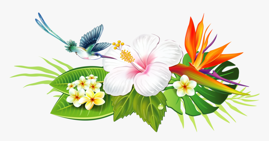 hand Open dictator Hibiscus Clipart Lei Flower - Dibujos Para Pared De Colibri, HD Png  Download - kindpng