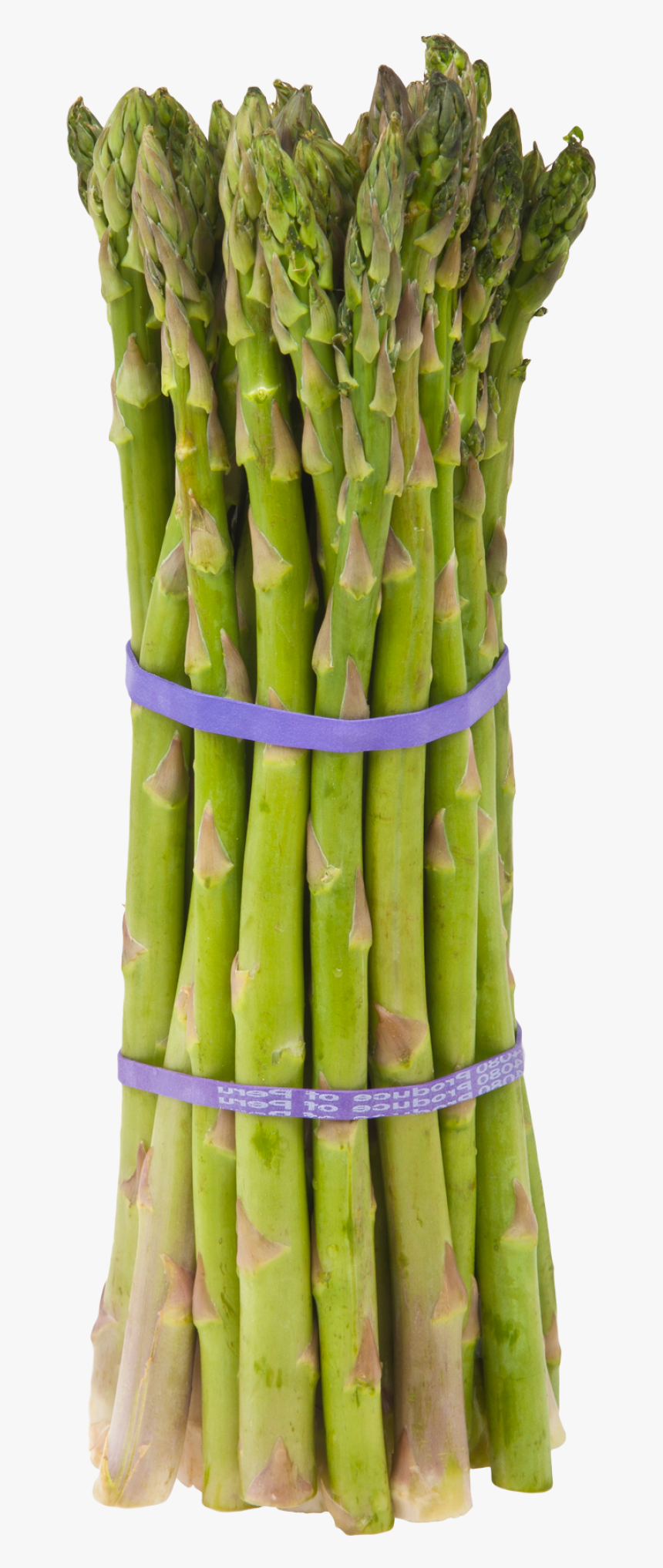 Asparagus Png Image - Asparagus Meaning In Bengali, Transparent Png, Free Download