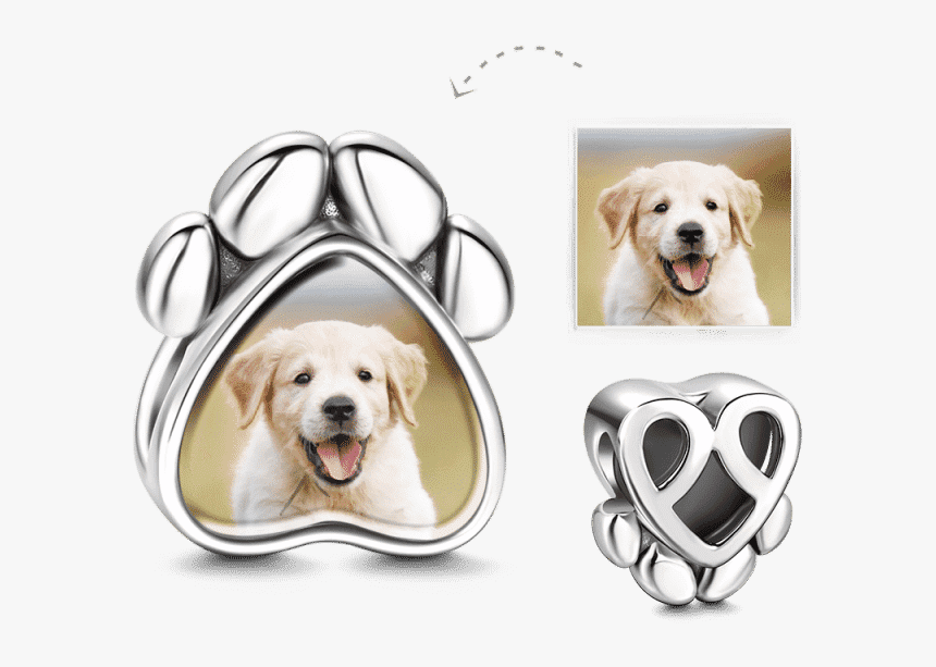 Labrador Retriever , Transparent Cartoons - Labrador Retriever, HD Png Download, Free Download