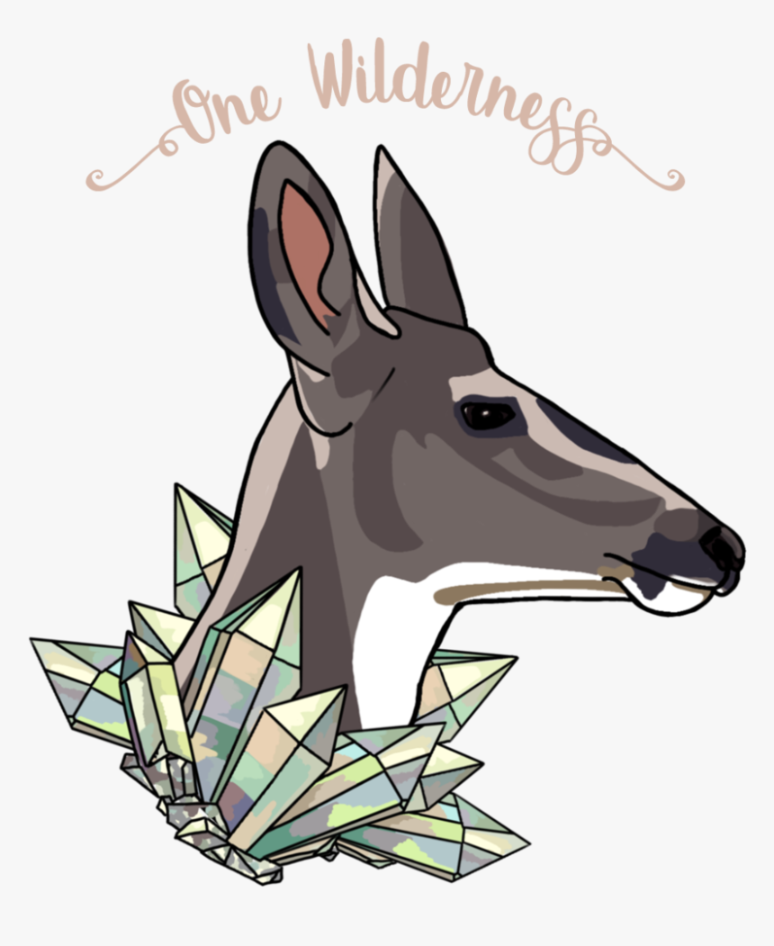 Deer - Kangaroo, HD Png Download, Free Download