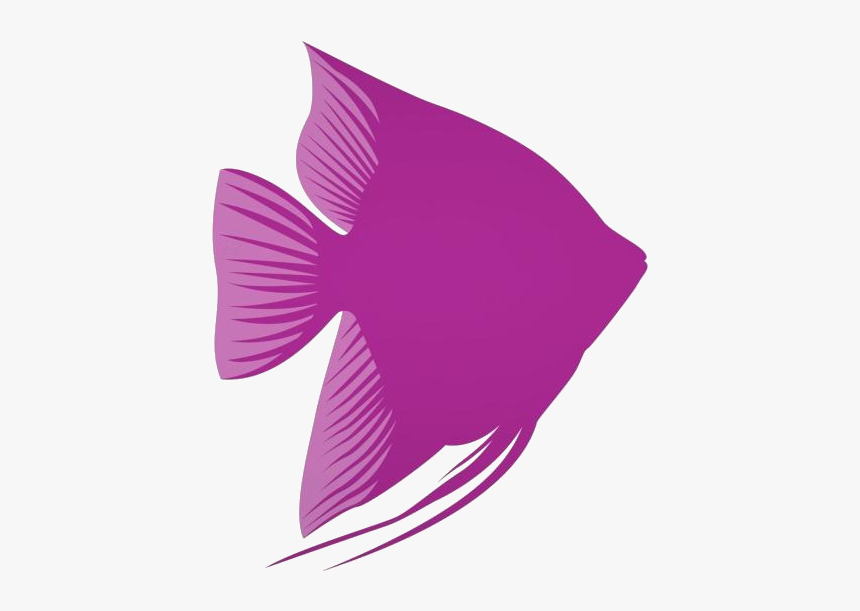 Angelfish Png Background - Flag, Transparent Png, Free Download