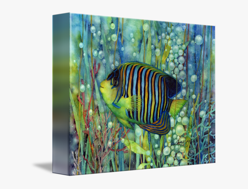 Transparent Angelfish Png - Royal Angelfish, Png Download, Free Download