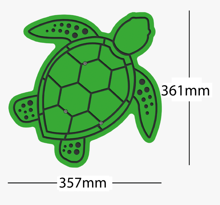 Transparent Turtle - Kemp's Ridley Sea Turtle, HD Png Download, Free Download