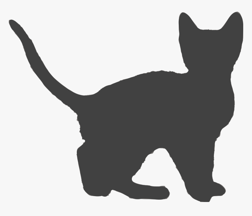 Domestic Short-haired Cat, HD Png Download, Free Download