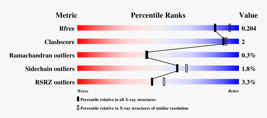 Location Of Glucose Transporter 2 Gene, HD Png Download, Free Download