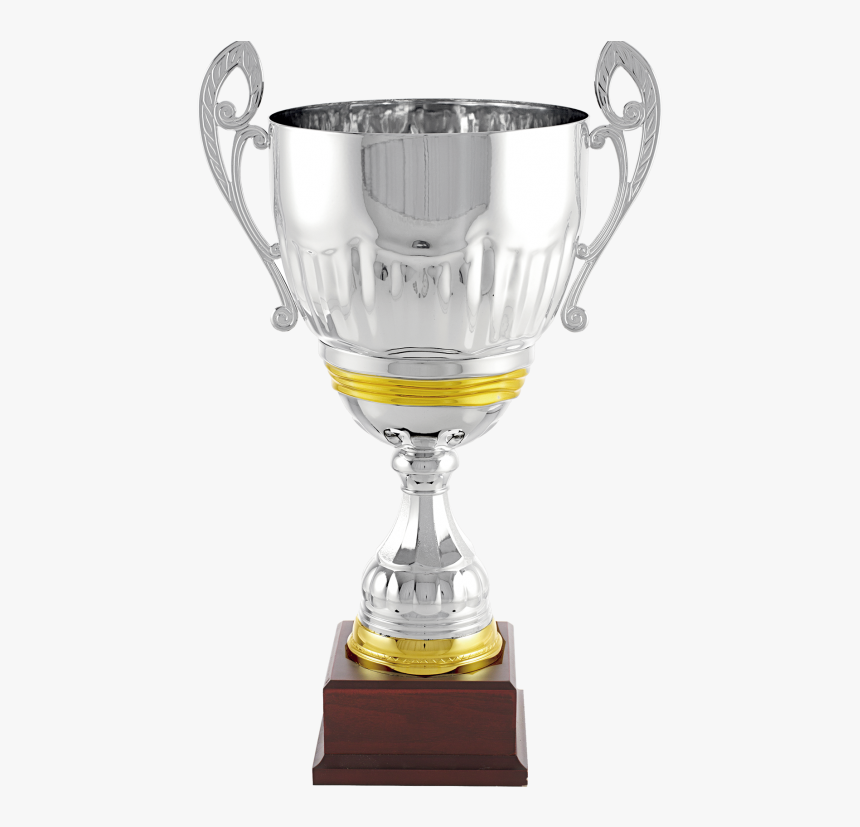 Trofeo Copa Cáliz Bicolor Plata-dorado - Trophy, HD Png Download, Free Download