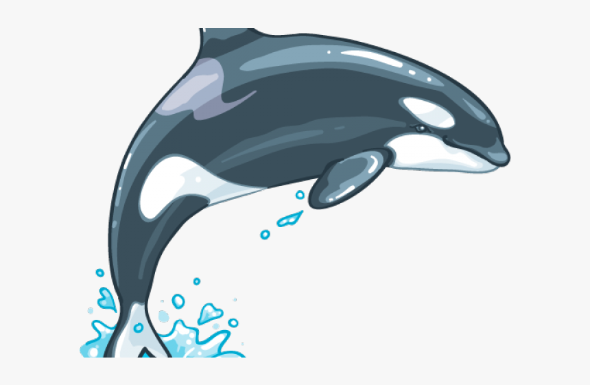 Killer Whale Png Transparent Images - Killer Whales Png, Png Download, Free Download