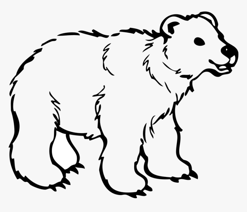 Outline Of Wild Animals, HD Png Download, Free Download