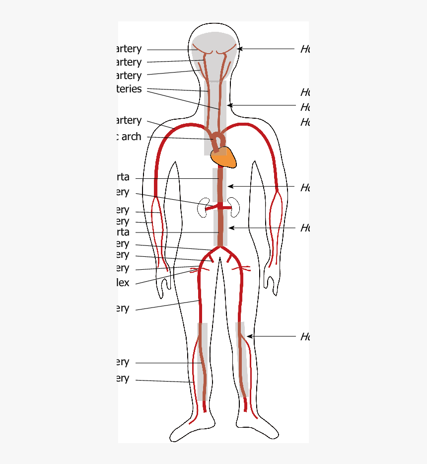 Diagram, HD Png Download, Free Download