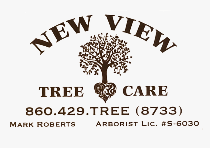 Trees Plan View Png, Transparent Png, Free Download