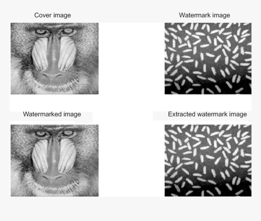 Steganography Matlab, HD Png Download, Free Download