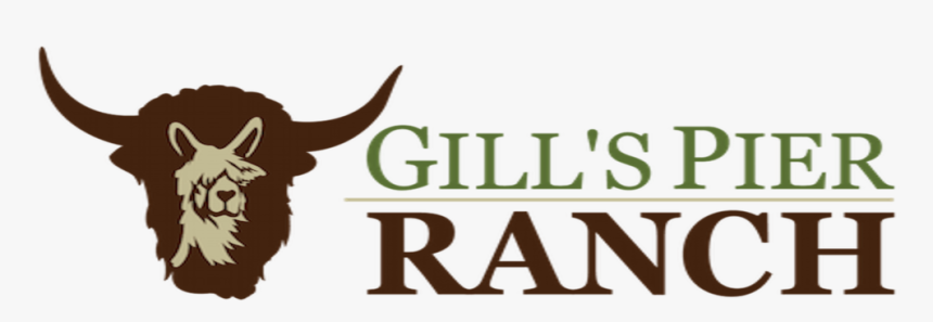 Gill"spierranch - Bull, HD Png Download, Free Download