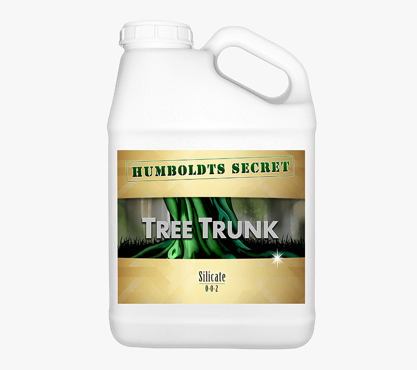 Tree Trunk - Bottle, HD Png Download, Free Download