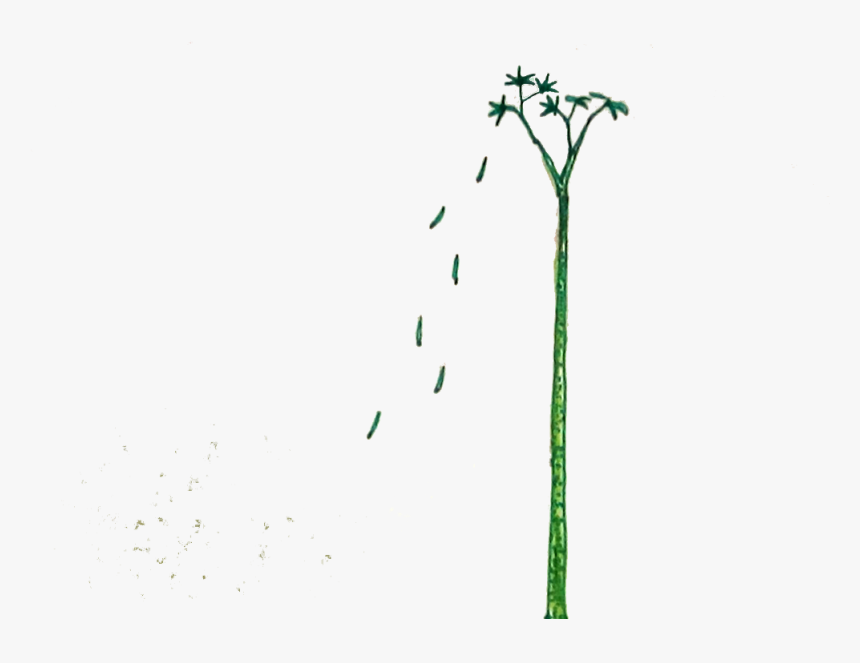 Transparent Dying Tree Png - Illustration, Png Download, Free Download