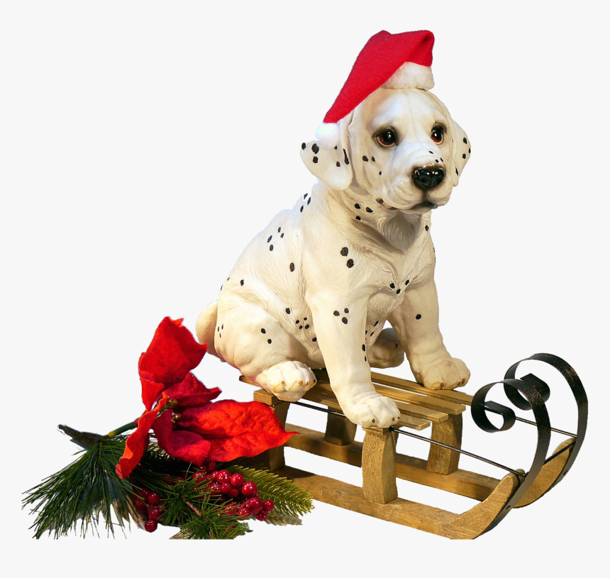 Transparent Doggo Png - Christmas Dog No Background, Png Download, Free Download