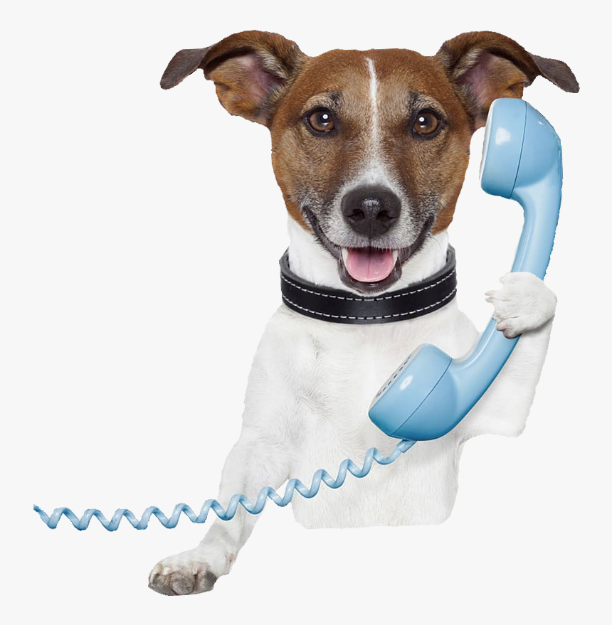 Dog Telephone V2 - Dog And Teacher Quotes, HD Png Download, Free Download