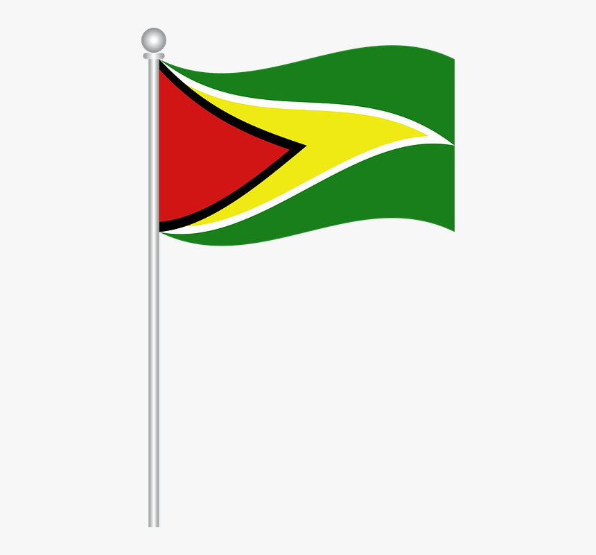 Flag of Guyana, 2011 ClipPix ETC: Educational Photos for Students and Teachers