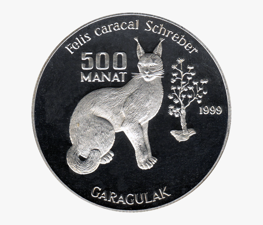 Tm 1999 500manat Caracal B - Silver, HD Png Download, Free Download