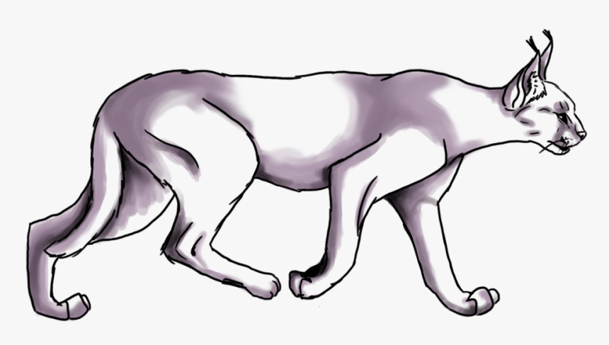 Jaguar, HD Png Download, Free Download