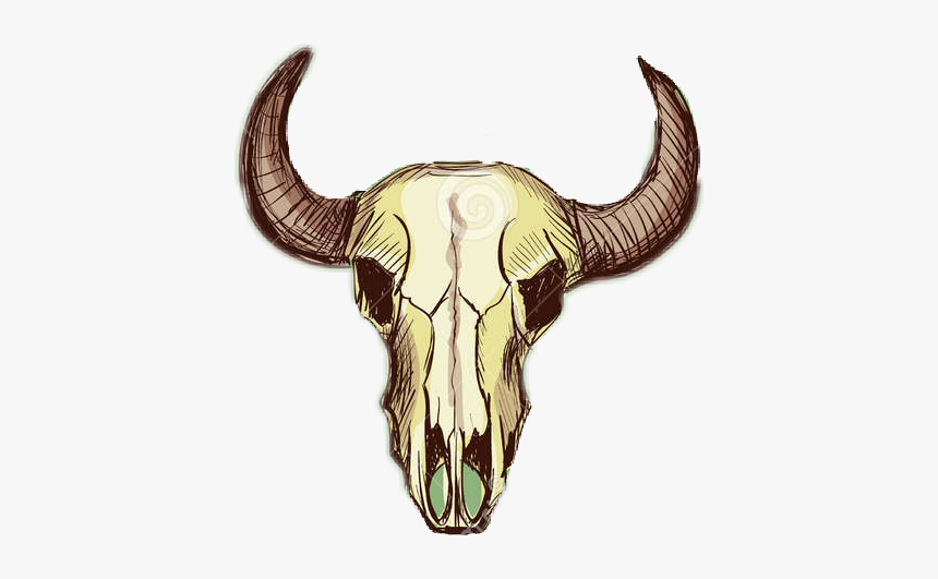 #indio #hueso - Skull, HD Png Download, Free Download