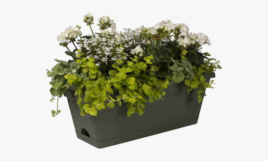 Flowerpot, HD Png Download, Free Download