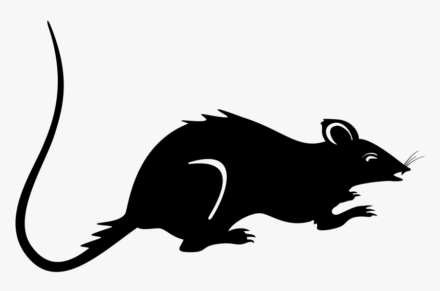 Demo Rats, HD Png Download, Free Download