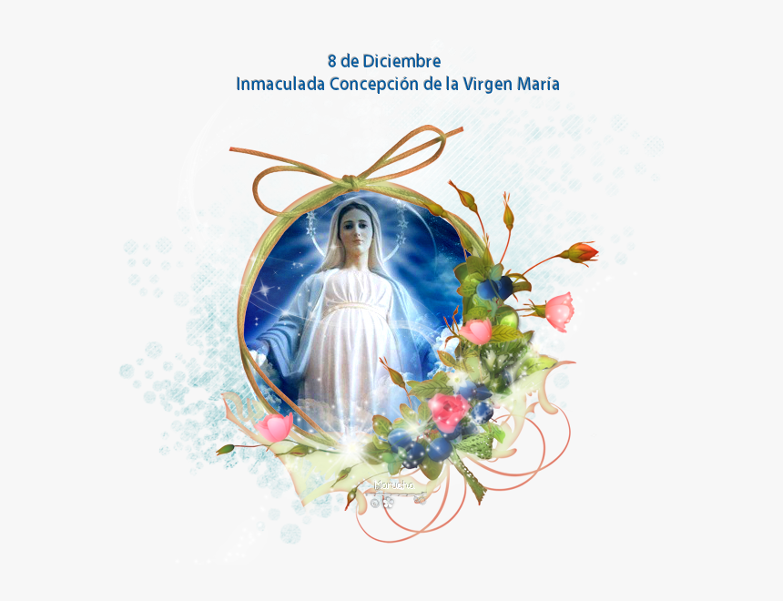 Transparent Virgen Maria Png - Flower Frame Png Free Download, Png Download, Free Download