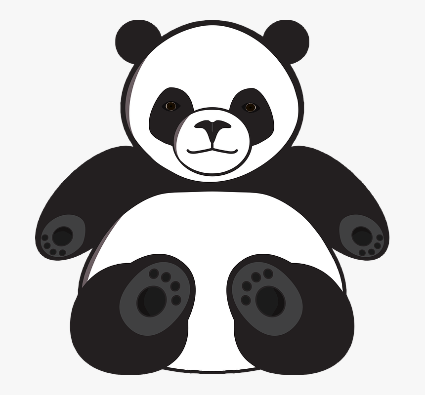 Panda Disegno Da Colorare, HD Png Download, Free Download