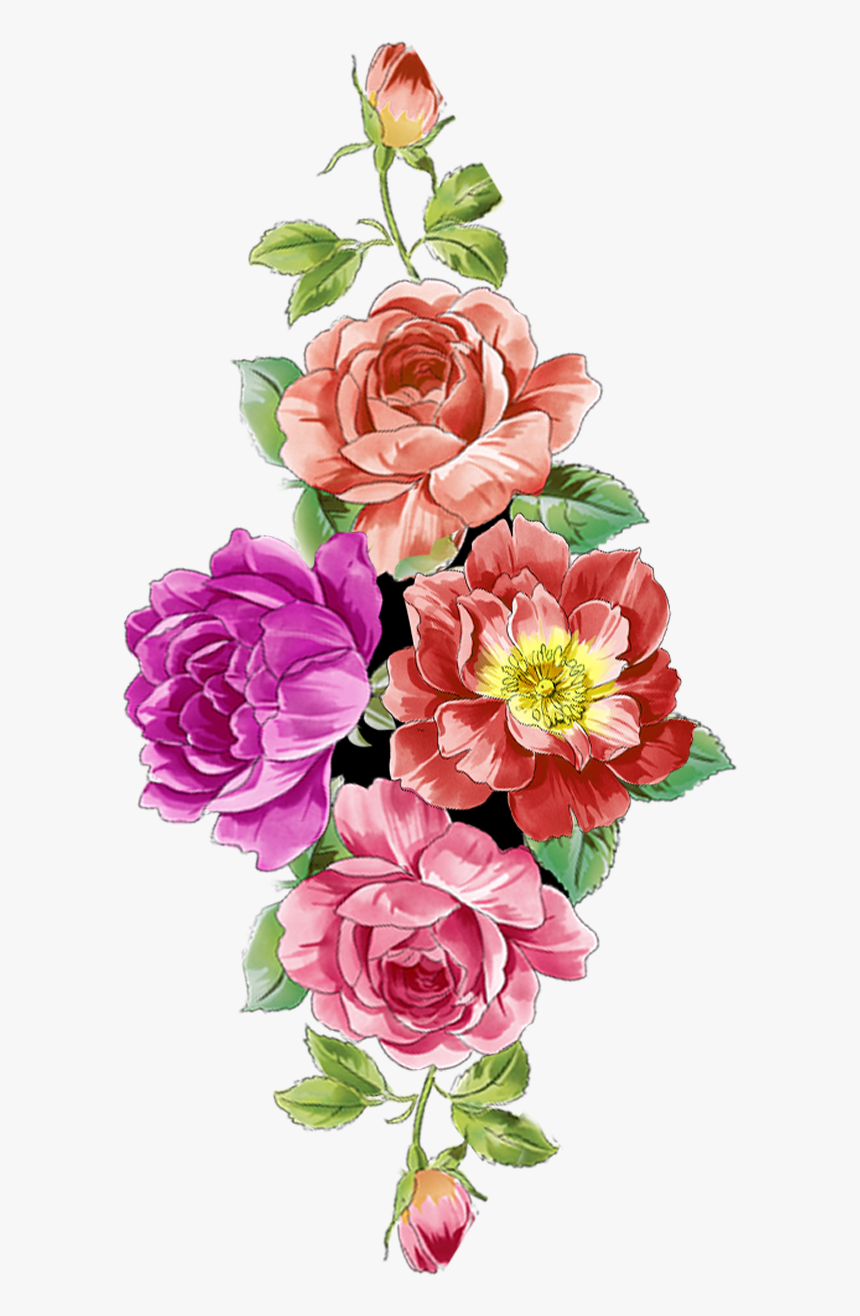 Digital Flower Design, Vector,flower,vector Art,flower - Garden Roses ...