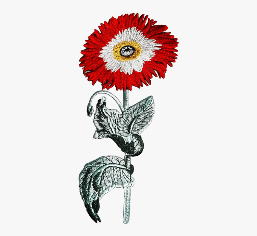 Standing Flower Embroidered Patch Straightly - Barberton Daisy, HD Png Download, Free Download