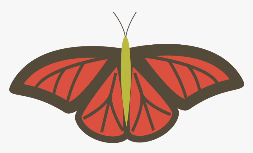 Butterfly, HD Png Download, Free Download