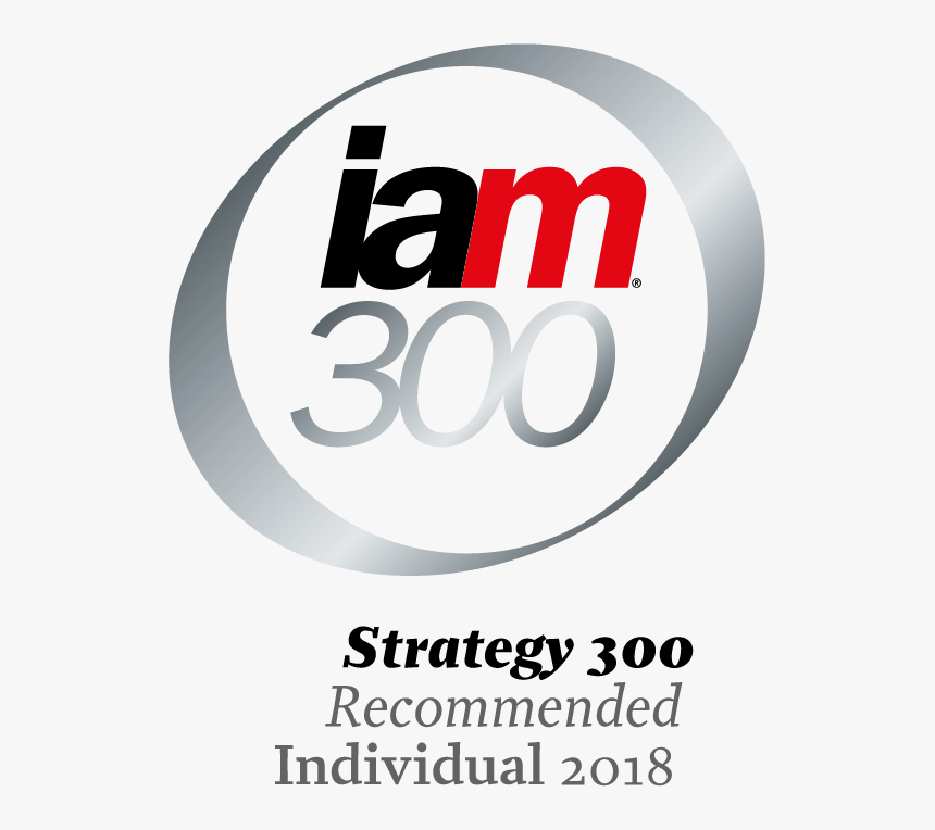 Iam Strategy 300 Logo, HD Png Download, Free Download