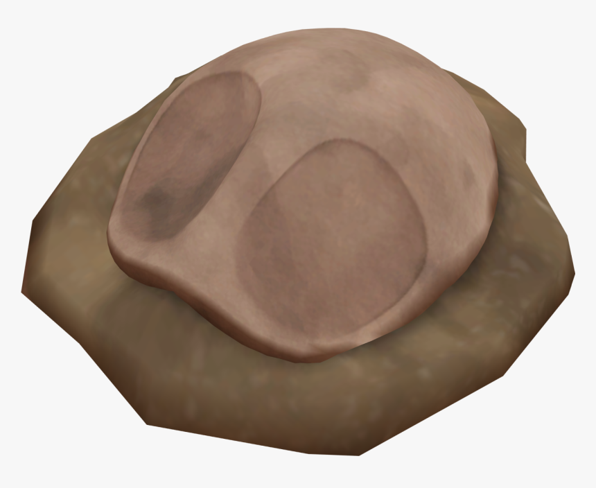 Dome Fossil Png, Transparent Png, Free Download