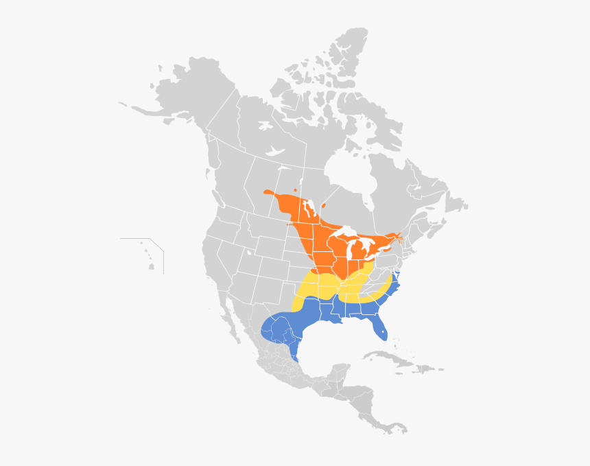 Cistothorus Stellaris Map - American White Pelican Range, HD Png Download, Free Download