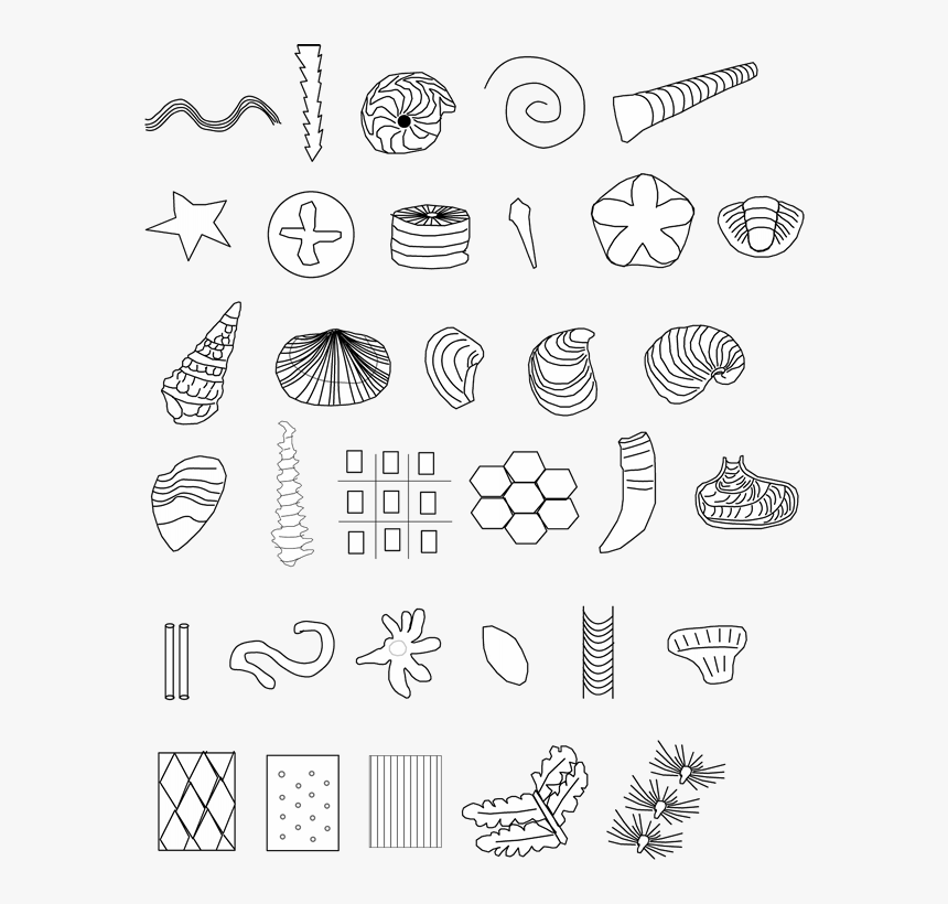 Fossil Symbols, HD Png Download, Free Download