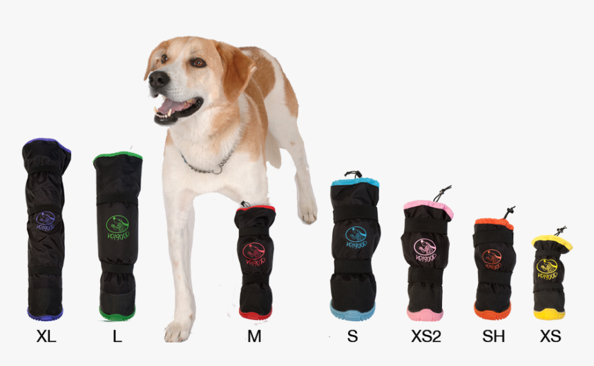 Dog Onesie With Boots, HD Png Download, Free Download