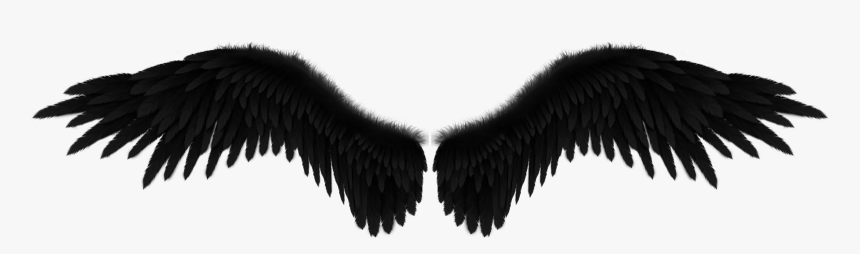 Clip Art The Pretty Tale Sobre - Black Angel Wings Background, HD Png Download, Free Download