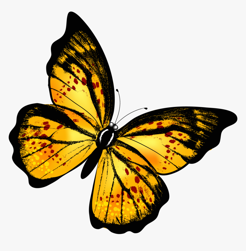 Butterfly Png - Yellow Butterfly Png, Transparent Png, Free Download