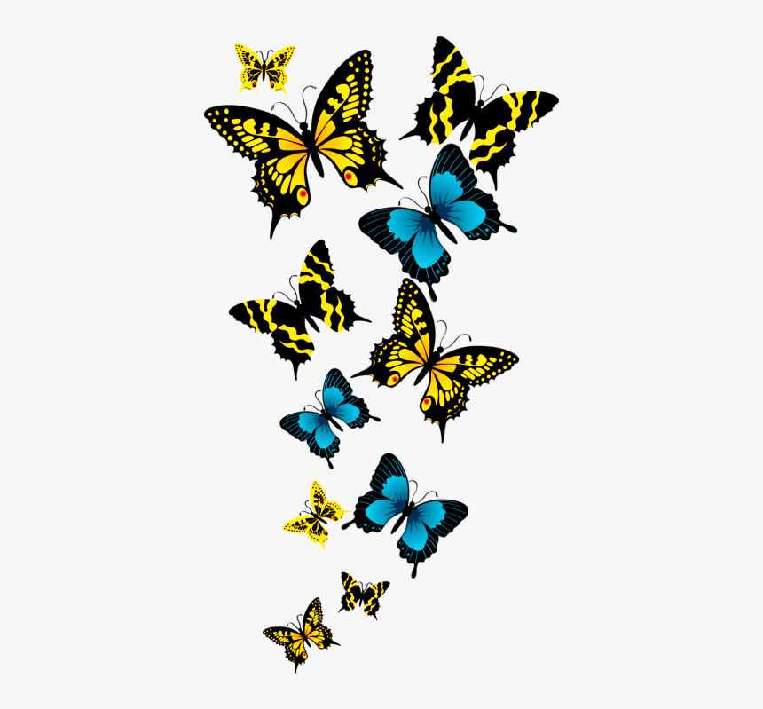 Beautiful Hd Butterfly Png, Transparent Png, Free Download