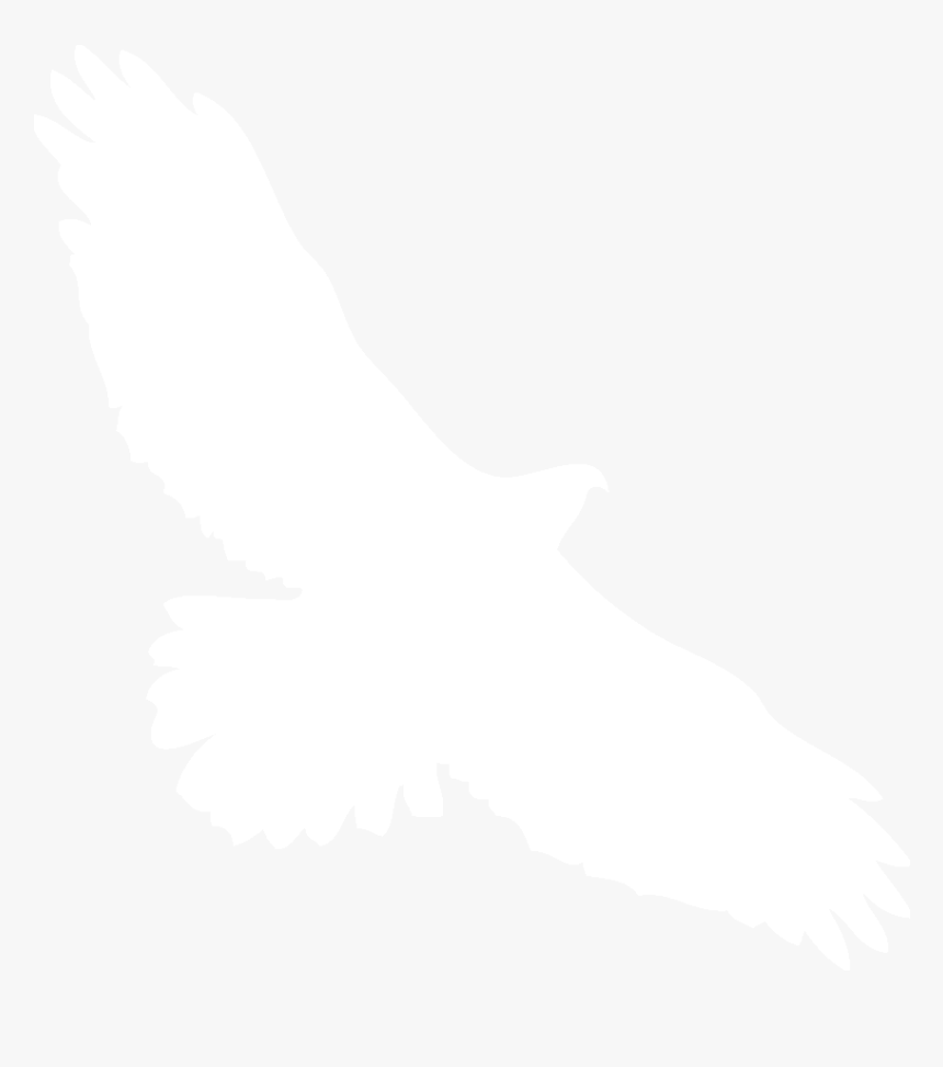 Transparent Hawk Silhouette, HD Png Download, Free Download