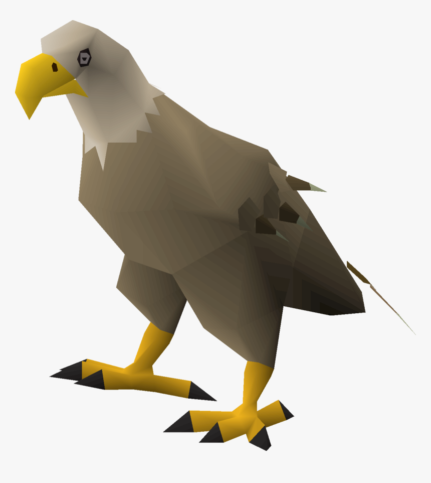 Download Transparent Png - Prey Birds Of The Desert, Png Download, Free Download