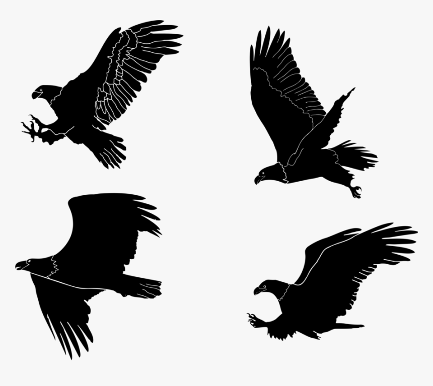 Eagle Silhouette Png Transparent, Png Download, Free Download