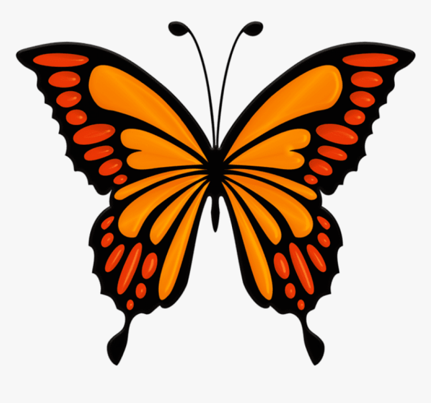 Free Png Orange Butterfly Png Images Transparent - Blue Butterfly Clip ...